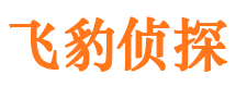 安国外遇调查取证